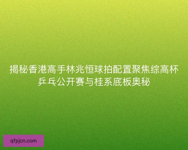 揭秘香港高手林兆恒球拍配置聚焦综高杯乒乓公开赛与桂系底板奥秘