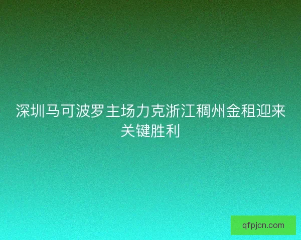 深圳马可波罗主场力克浙江稠州金租迎来关键胜利